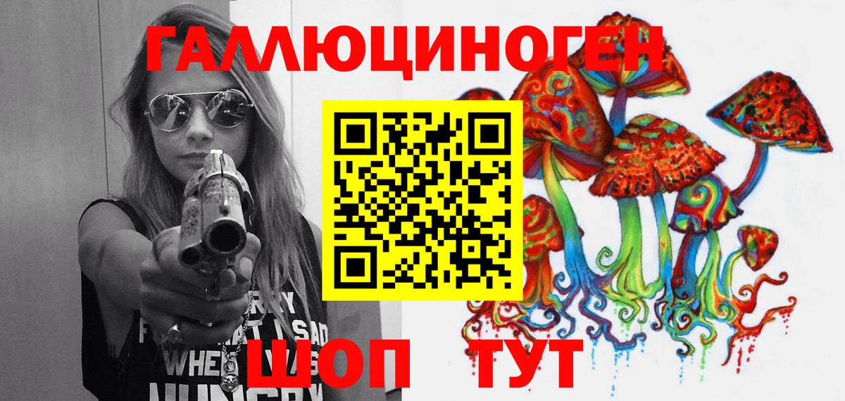 Псилоцибиновые грибы мицелий Комсомольск-на-Амуре
