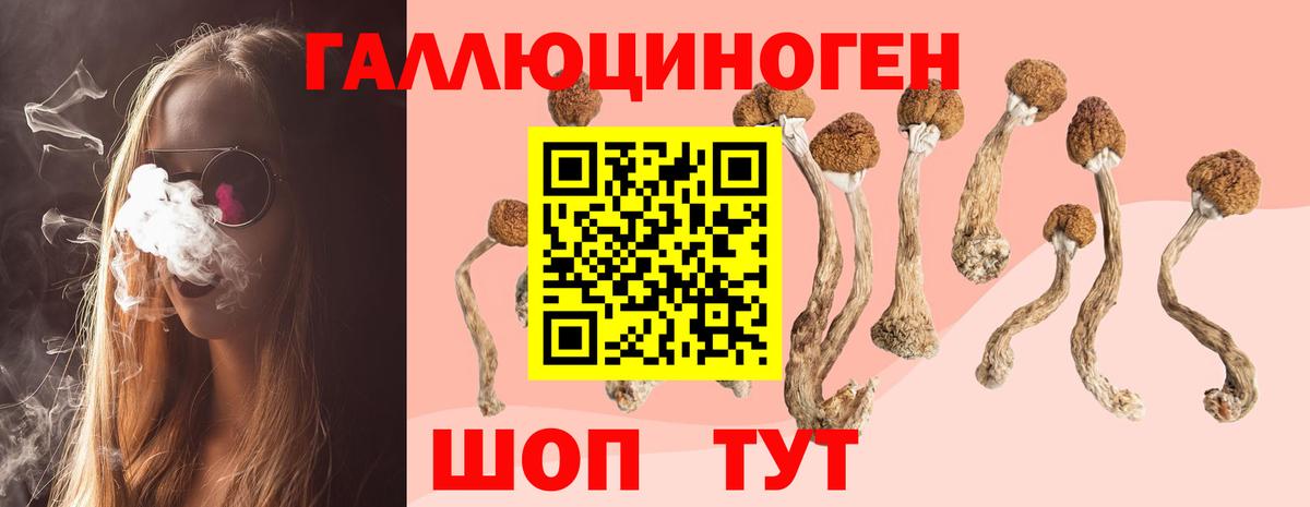 где купить наркоту  Псилоцибиновые грибы MAGIC MUSHROOMS  Вход с VPN  Комсомольск-на-Амуре 
